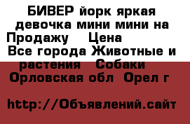 БИВЕР йорк яркая девочка мини мини на Продажу! › Цена ­ 45 000 - Все города Животные и растения » Собаки   . Орловская обл.,Орел г.